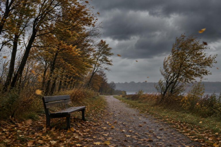 Symbolische Illustration eines menschenleeren Herbstwegs mit windgebeugten Bäumen und wirbelnden Blättern unter einer dunklen Wolkendecke. Im Vordergrund steht eine schlichte Parkbank; keine Schrift, Logos oder erkennbaren Personen.